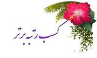 کسب رتبه برتر کشوری دانشگاه علوم پزشکی هرمزگان در جشنواره ملی ترجمان دانش